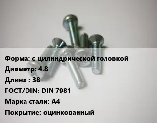 Винт с цилиндрической головкой 4.8х38 DIN 7981 Сталь: А4 оцинкованный